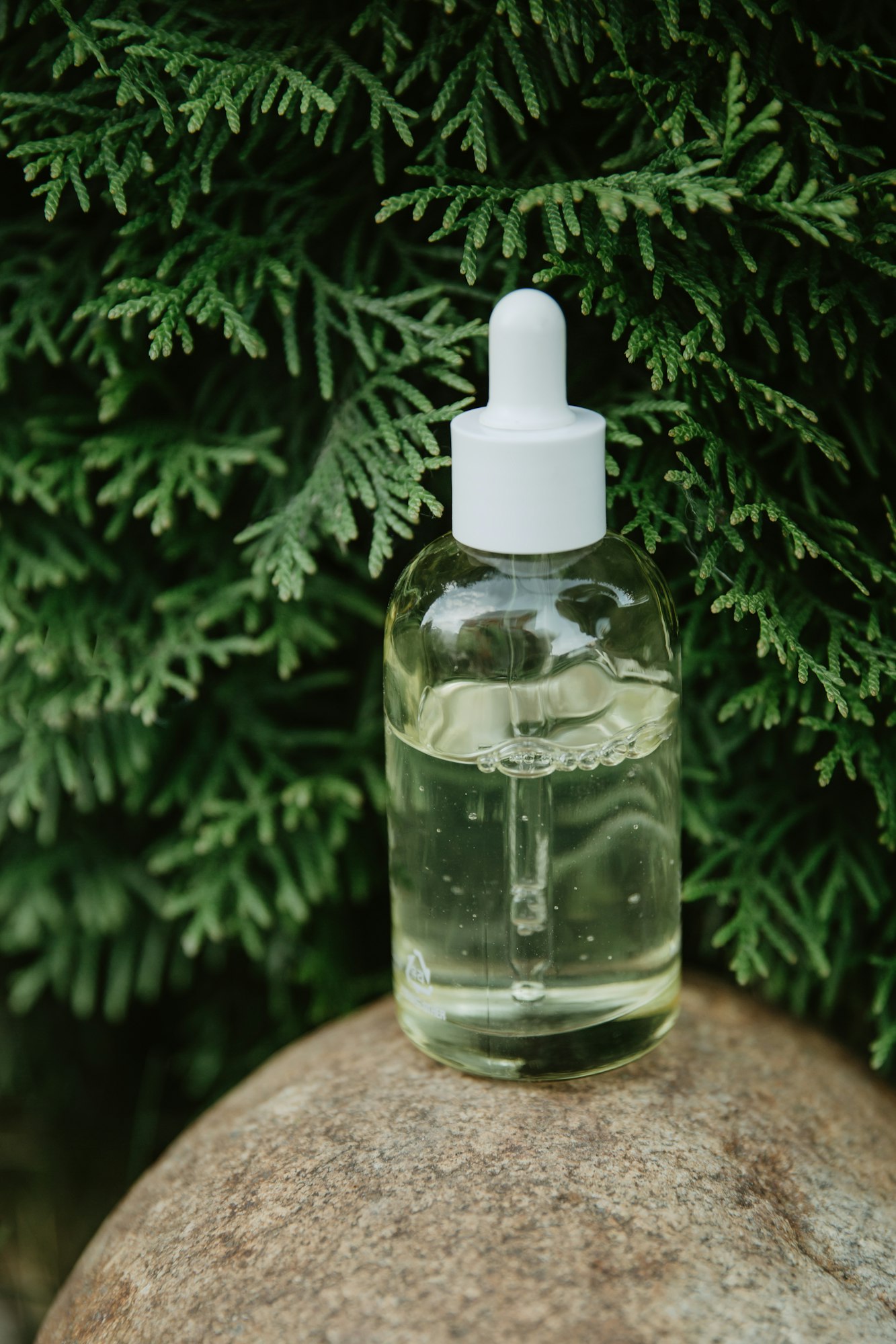 Cosmetic bottle with natural plants