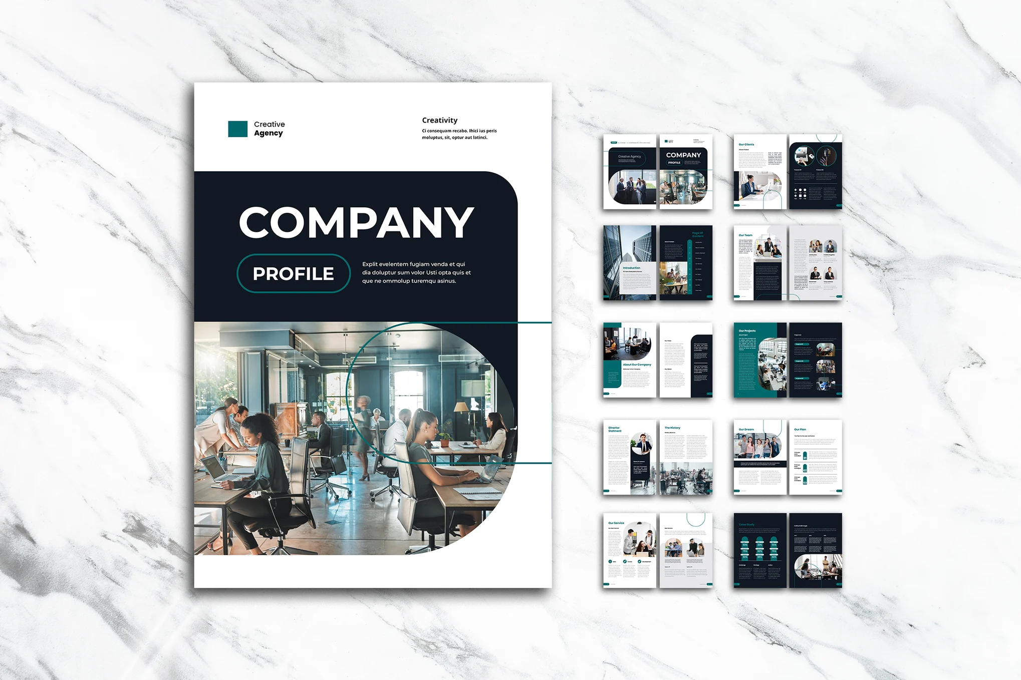 Company Profile