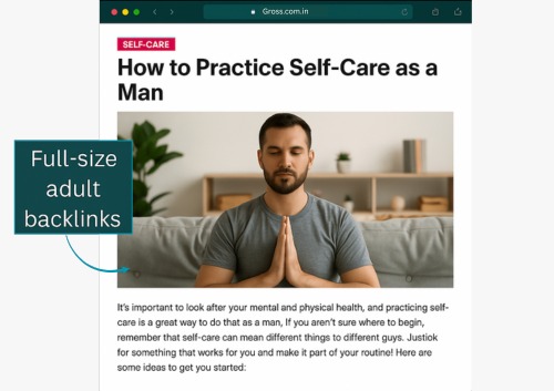 Why-Adult-Link-Building-Services
