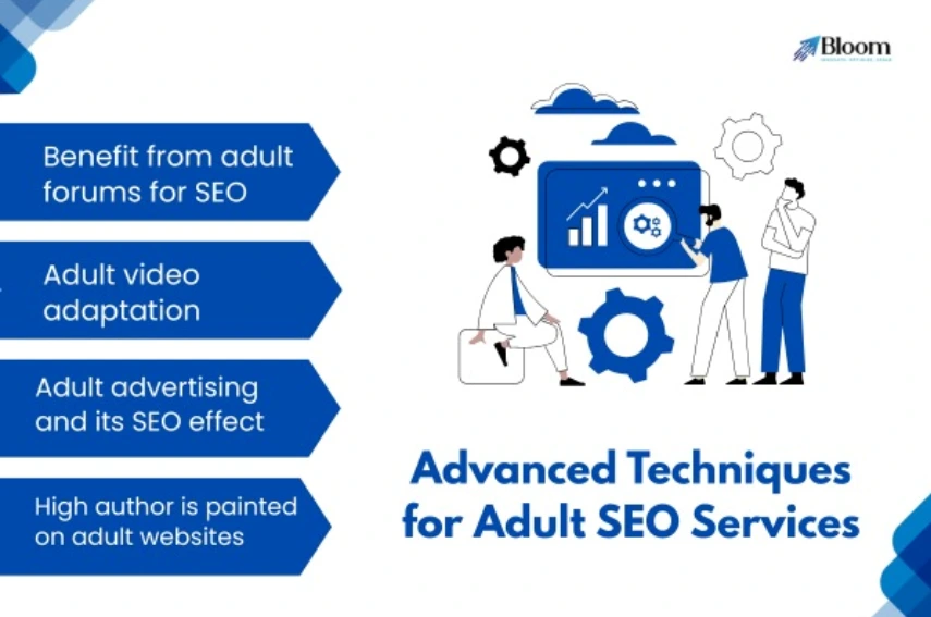 Adult SEO Services