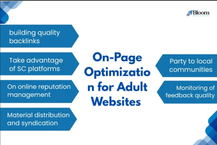 Adult SEO Services