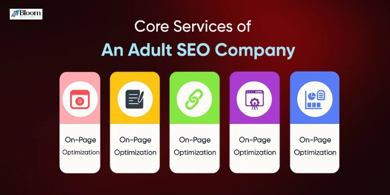 adult SEO company in Boston