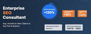 SEO Consultant