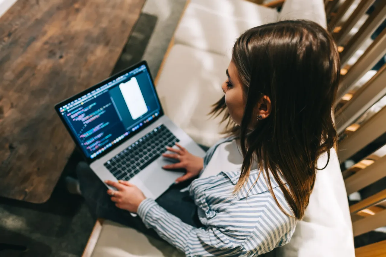 developing website