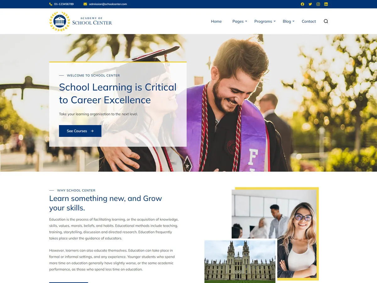 school website wordpress